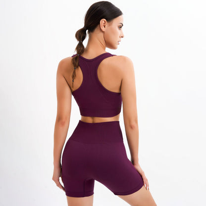 Two-Piece Seamless Push-Up Gym Set